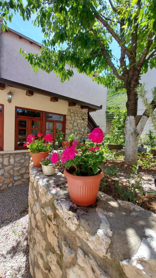 Apartamento Kapetanovina *
